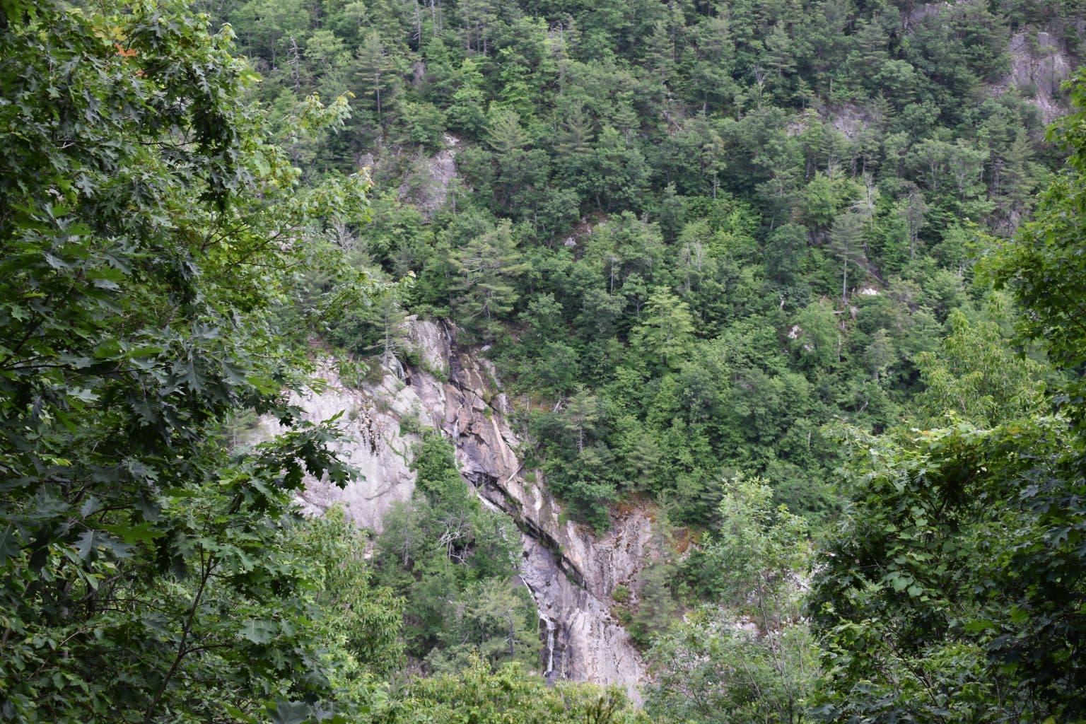 Bottom Creek [2024 Update] Unofficial Trail Guide Yo Noke